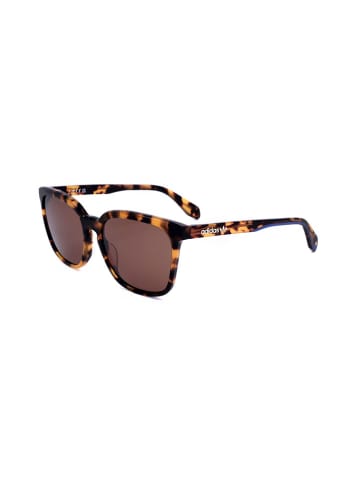 adidas Herren-Sonnenbrille in Braun