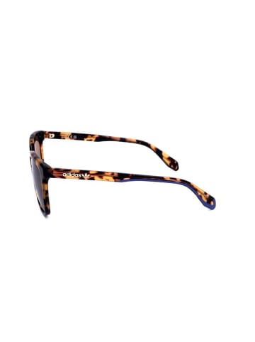 adidas Herren-Sonnenbrille in Braun