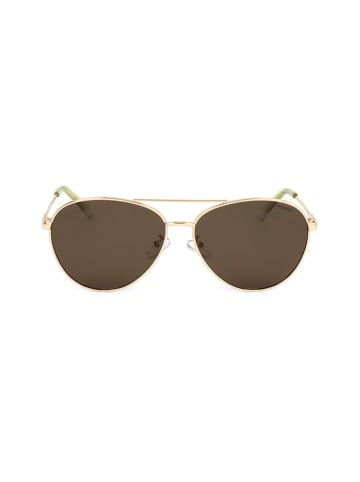 Polaroid Unisex-Sonnenbrille in Gold/ Braun
