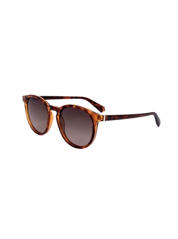 Polaroid Unisex-Sonnenbrille in Hellbraun/ Braun
