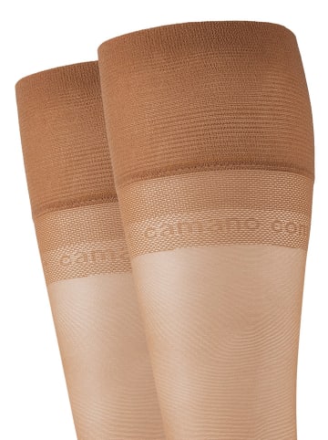 camano 4er-Set: Kniestrümpfe in Beige - 20 DEN