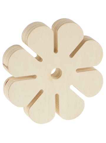 SUNNYSUE Kordelblümchen "Kordula" in Natur