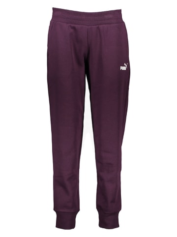 Puma Sweathose "Essentials" in Lila