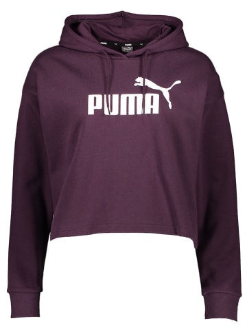 Puma Bluza "Essential Cropped" w kolorze fioletowym