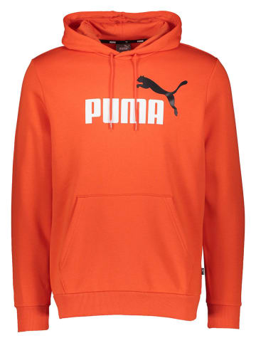 Puma Hoodie "Essentials+" in Rot