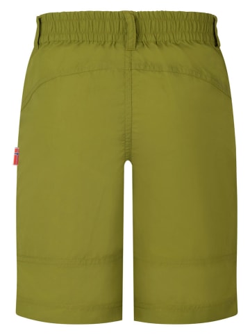 Trollkids Trekkingsshorts "Seiland" groen