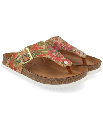 HAFLINGER Leren teenslippers lichtbruin/meerkleurig