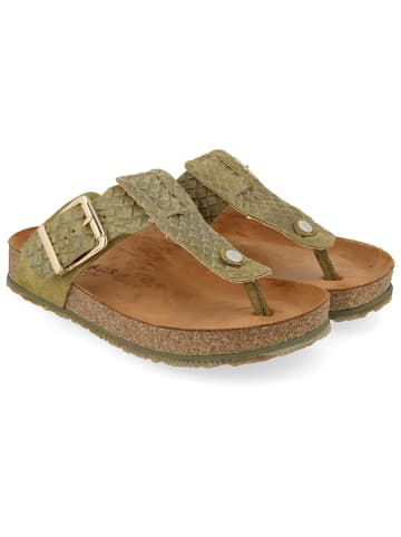 HAFLINGER Leder-Zehentrenner in Khaki