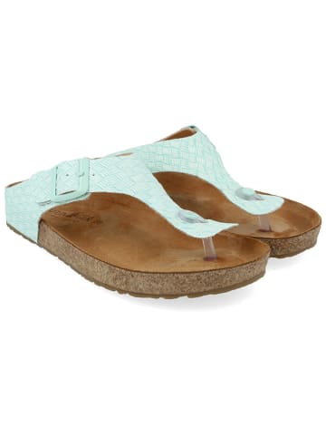 HAFLINGER Leder-Zehentrenner in Mint