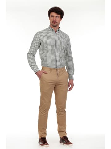 The Time of Bocha Chino in Beige