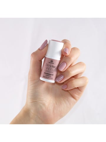 alessandro Striplac "Panama Hut", 8 ml