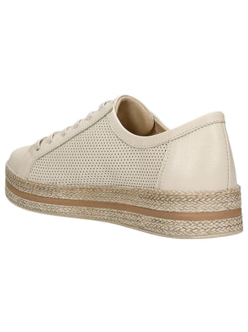 Wojas Leder-Sneakers in Creme