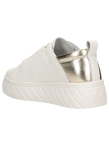 Wojas Leder-Sneakers in Creme