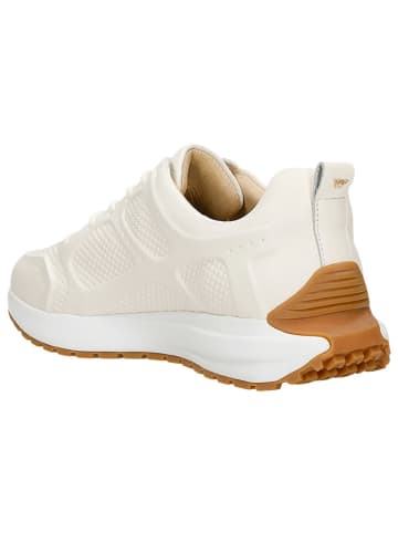 Wojas Leder-Sneakers in Creme