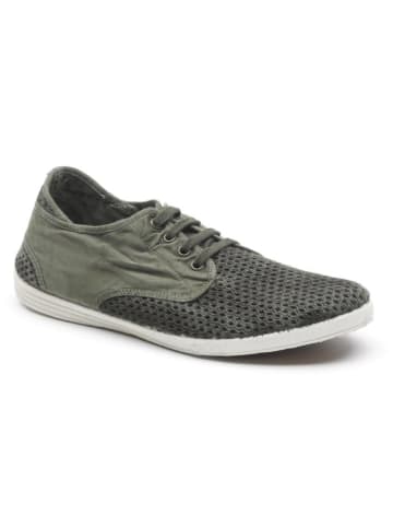 natural world Schnürschuhe in Khaki