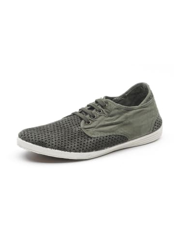 natural world Sneakersy w kolorze khaki