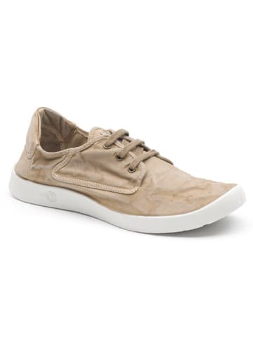 natural world Sneakers in Beige