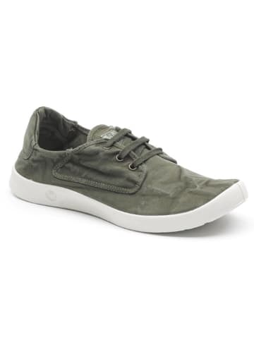 natural world Sneakers in Khaki