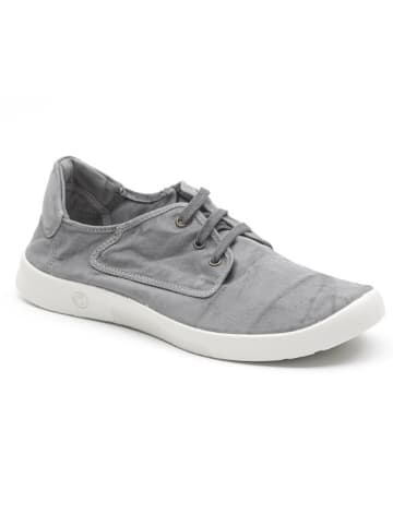 natural world Sneakers in Grau