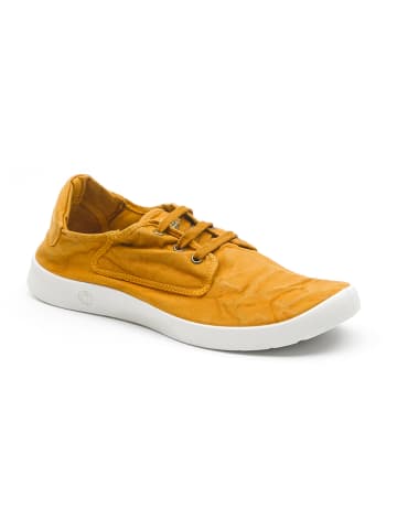 natural world Sneakers in Gelb
