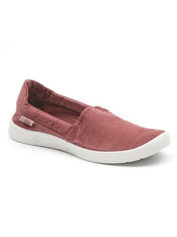 natural world Slipper in Rot