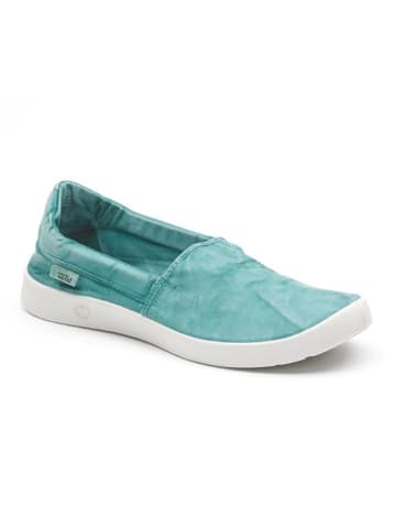 natural world Instappers turquoise