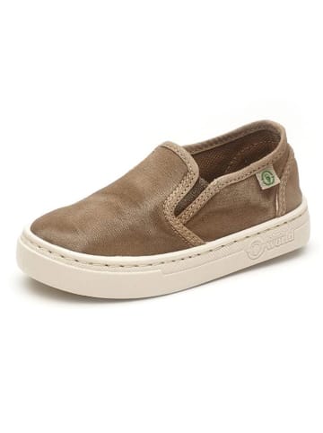 natural world Slipper in Beige