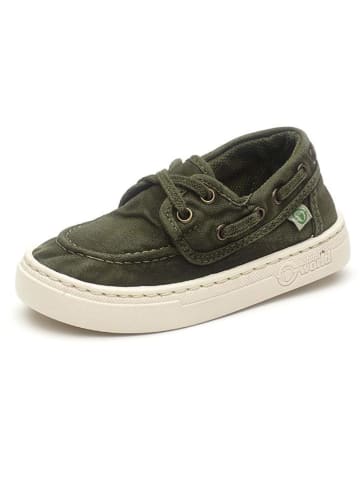 natural world Schnürschuhe in Khaki