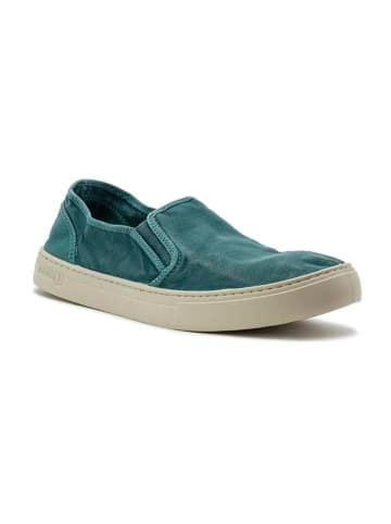 natural world Slippersy w kolorze zielonym