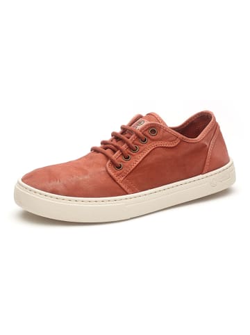 natural world Sneakers in Rot