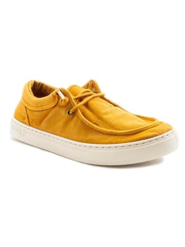 natural world Schnürschuhe in Orange