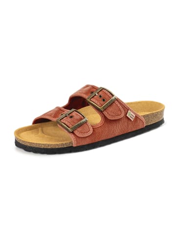 natural world Slippers rood