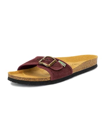 natural world Slippers paars