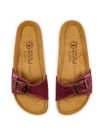 natural world Slippers paars