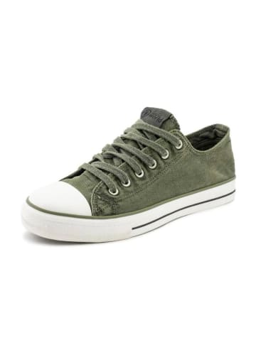 natural world Sneakers in Khaki