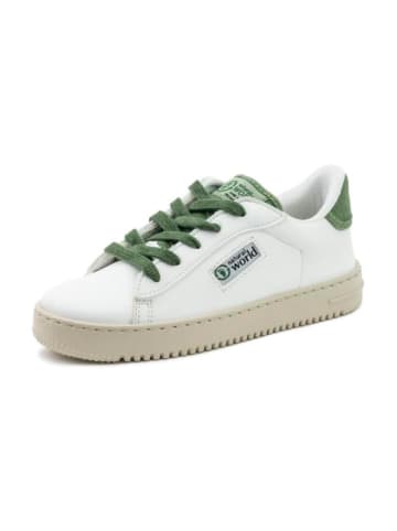 natural world Sneakers wit/groen