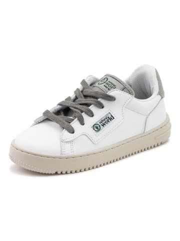 natural world Sneakersy w kolorze biało-szarym