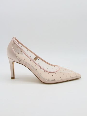 Belucci Pumps in Rosa