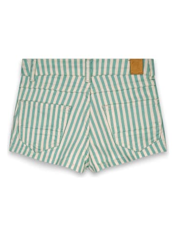Street Called Madison Shorts in Grün/ Creme
