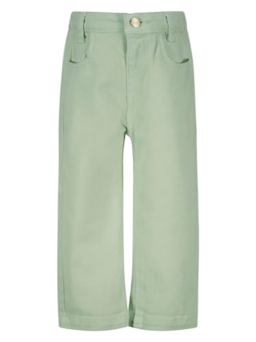 The New Chapter Jeans in Grün