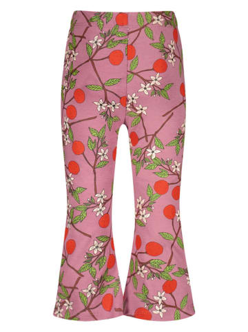 The New Chapter Hose in Pink/ Bunt