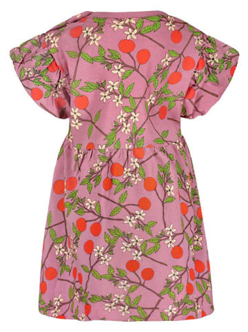 The New Chapter Kleid in Pink/ Bunt