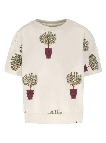 The New Chapter Shirt in Beige