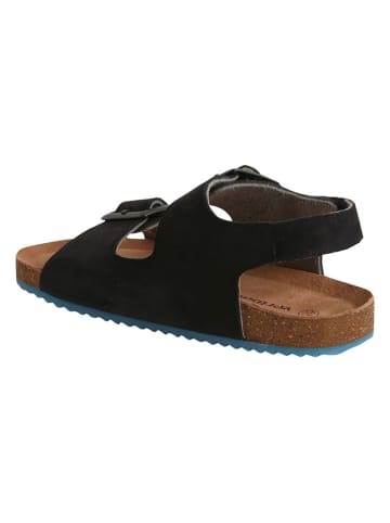 vertbaudet Leren sandalen zwart