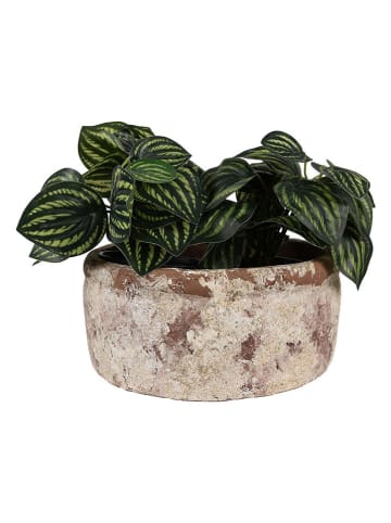 Clayre & Eef Blumentopf in Beige - (H)11 x Ø 23 cm
