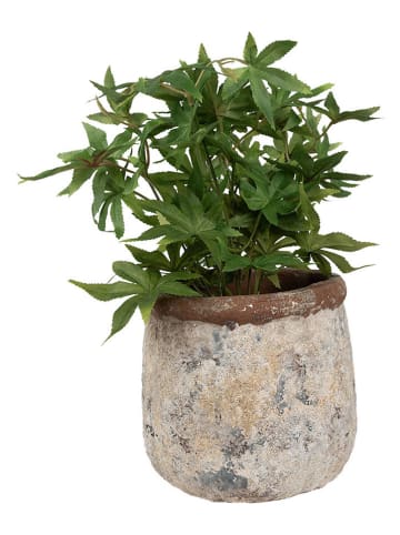 Clayre & Eef Blumentopf in Beige - (H)17 x Ø 18 cm
