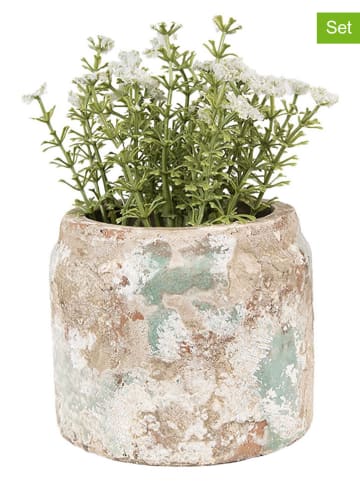 Clayre & Eef 2er-Set: Blumentöpfe in Beige/ Mint - (H)9 x Ø 11 cm