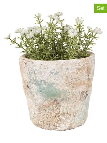 Clayre & Eef 2er-Set: Blumentöpfe in Beige/ Mint - (H)11 x Ø 11 cm