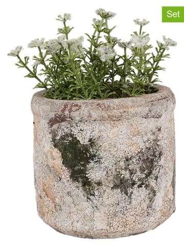 Clayre & Eef 2-delige set: bloempotten beige/zwart - (H)11 x Ø 12 cm