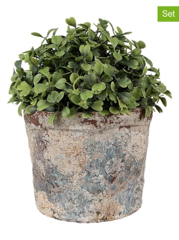 Clayre & Eef 2er-Set: Blumentöpfe in Beige - (H)11 x Ø 13 cm